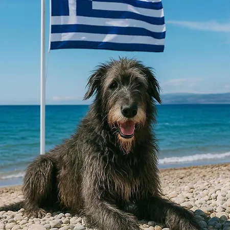 Alf & Lofts شقة ليبتوكاريا